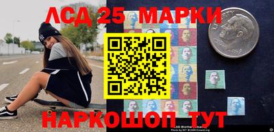 индика Гусь-Хрустальный