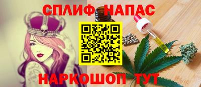 индика Гусь-Хрустальный