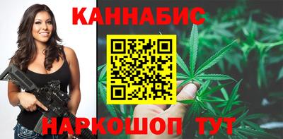 индика Гусь-Хрустальный