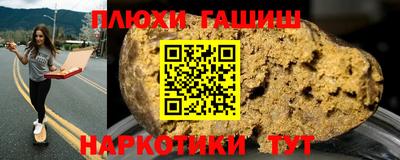 индика Гусь-Хрустальный