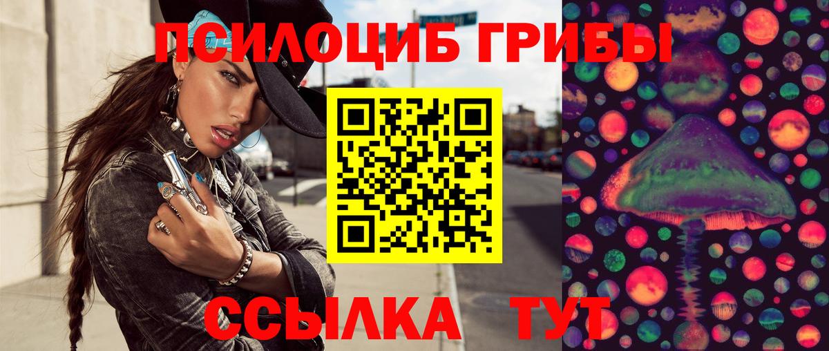 Псилоцибиновые грибы Psilocybine cubensis  Вход с VPN  Нальчик  Псилоцибиновые грибы Psilocybine cubensis 