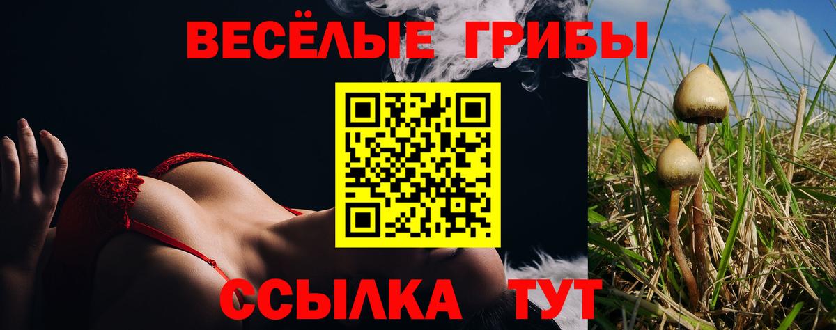 Псилоцибиновые грибы прущие грибы Нальчик